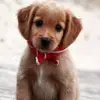 hi! - @dorisbee - TikTok