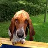 Doris Beier229 - @dorisbeier0 - TikTok