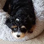 Doris Beier - @doris.beier - Instagram
