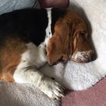 Doris Beier - @paul.a1190 - Instagram