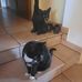 Doris Beier - Facebook