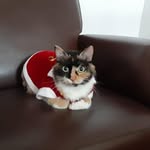 Doris Bejarano - @dorisbejarano1408 - Instagram