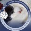 Dorisse Belanger - @dorissebelanger - TikTok