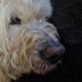Doris Belk - Facebook