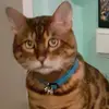 dorisbeller395 - @dorisbeller395 - TikTok