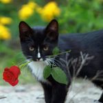 Doris Bender - @dorisbender36 - Instagram
