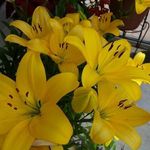 Doris Benitez - @doris.benitez.9678 - Instagram