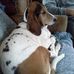Doris Benoit - Facebook