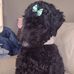 Doris Benoit - Facebook