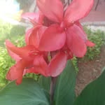 Doris Benton - @dorisbenton251 - Instagram