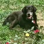 Doris Benton Crispell - @doris_crispell - Instagram
