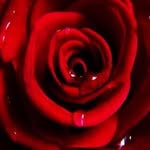 Doris Berg - @bergdoris2022 - Instagram