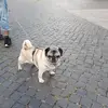 Doris Bergt - @doris.bergt - TikTok