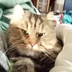 Doris Berger - @doris._berger - Instagram
