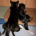 Doris Berger - Facebook