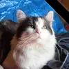 Doris Berger - @dorisbergerrosengarten - TikTok