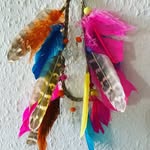Doris Berger Sutter - @divinigris - Instagram