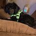 Doris Berlin - Facebook