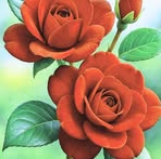 Doris Bernardo Andres - Facebook