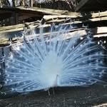 Doris Bernhardt - @doris.bernhardt28 - Instagram