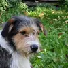 Doris - @dorisbernhardt - TikTok