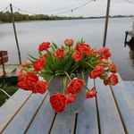 Doris Bernsteiner - @do.ris_bern.steiner - Instagram