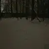 Doris Berry73 - @doris.berry73 - TikTok