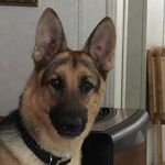 Doris Berry - @dorisberry1960 - Instagram
