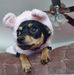 Bertho Torres - Facebook