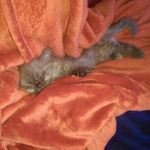 bertramdoris - @bertramdoris9673 - Instagram