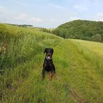Doris Bertram - @dorie.ber.18 - Instagram