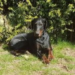 Doris Bertram - @dori_brr - Instagram
