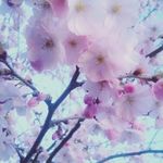 Doris Bertram Reß - @dorisbertramress - Instagram