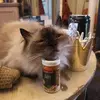 dorisbertram - @dorisbertram - TikTok