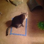 Doris Berube - @doris.berube.1 - Instagram