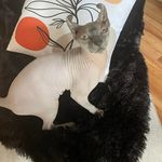 Doris Berube - @dodoisback - Instagram