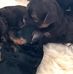 Doris Bessler - Facebook