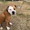 Doris Best - @dorisbest - TikTok