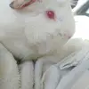 Doris - @doris.best - TikTok