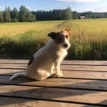 Doris - @doris_best_123 - Instagram