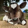 Doris Begley - @doris.begley1 - TikTok