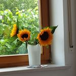 Do Bayer - @doris.beyer.79 - Instagram