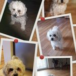 Doris beyer - @dorisbeyer9 - Instagram