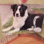 Doris Beyer - @dorisbeyer1953 - Instagram