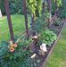 Doris Beyer - Facebook