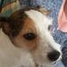 Doris Beyer - Facebook
