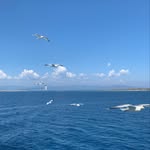 Doris Billings - @billings_doris - Instagram