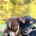 Doris Burford - Facebook