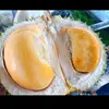 DORIS_17 - @doriscihombing - TikTok
