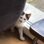 Doris Binggeli - @doris.binggeli.31 - Instagram